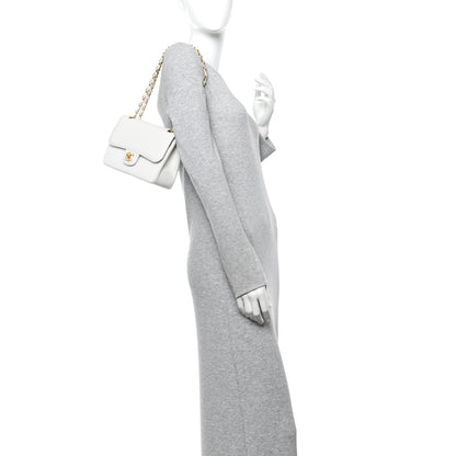 Chanel Lizard Small Double Flap White 3 of 25