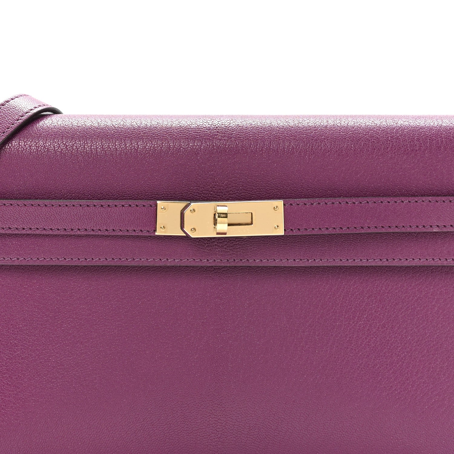 Hermes Chevre Chamkila Kelly Elan Anemone 8 of 11