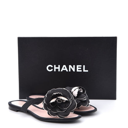 Chanel Satin Camellia Thong Sandals 37 Black 10 of 10