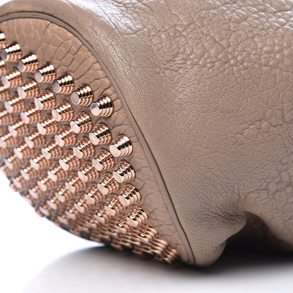 Alexander Wang Pebbled Lambskin Diego Bucket Bag Latte 14 of 17