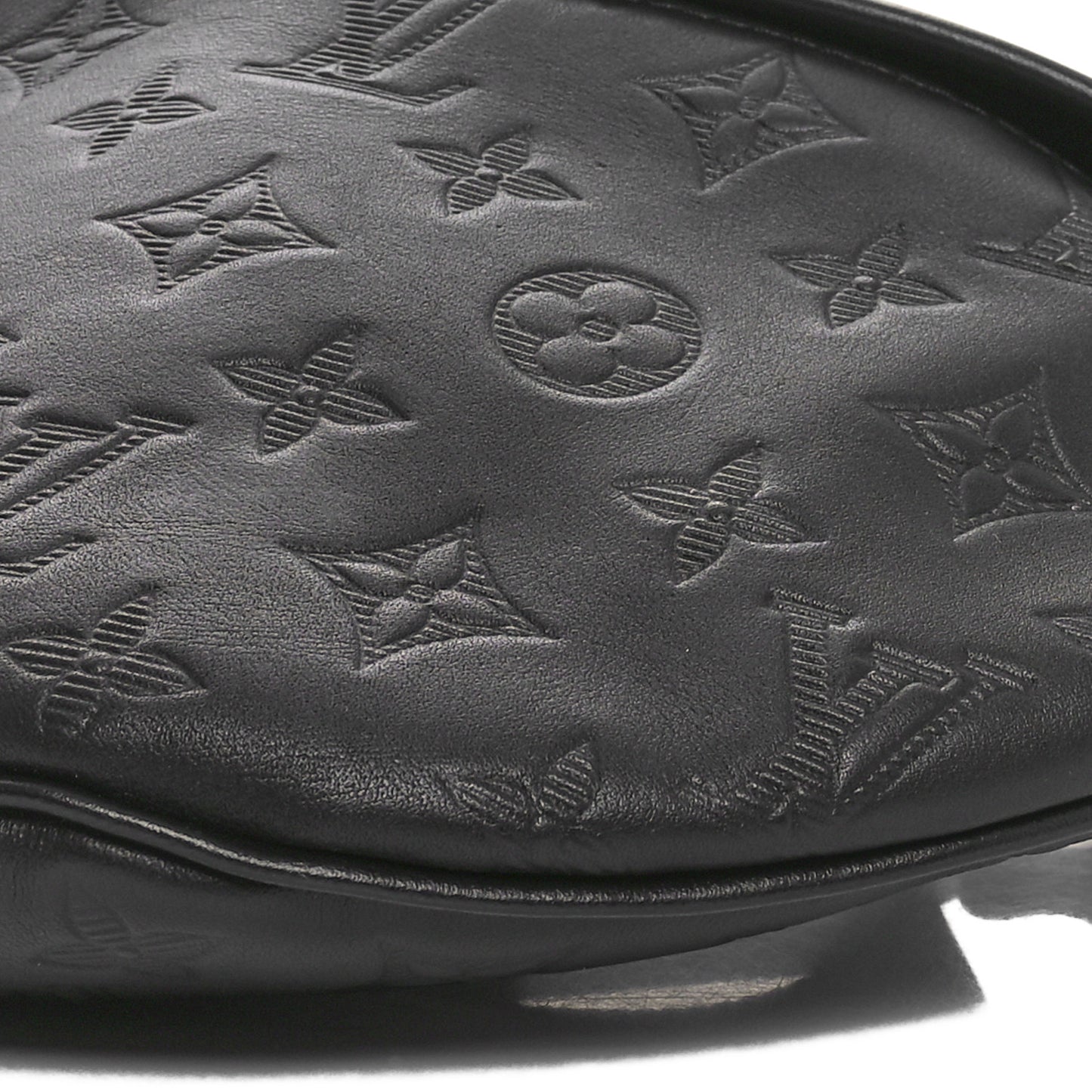 Calfskin Monogram Shadow Discovery Bumbag Black
