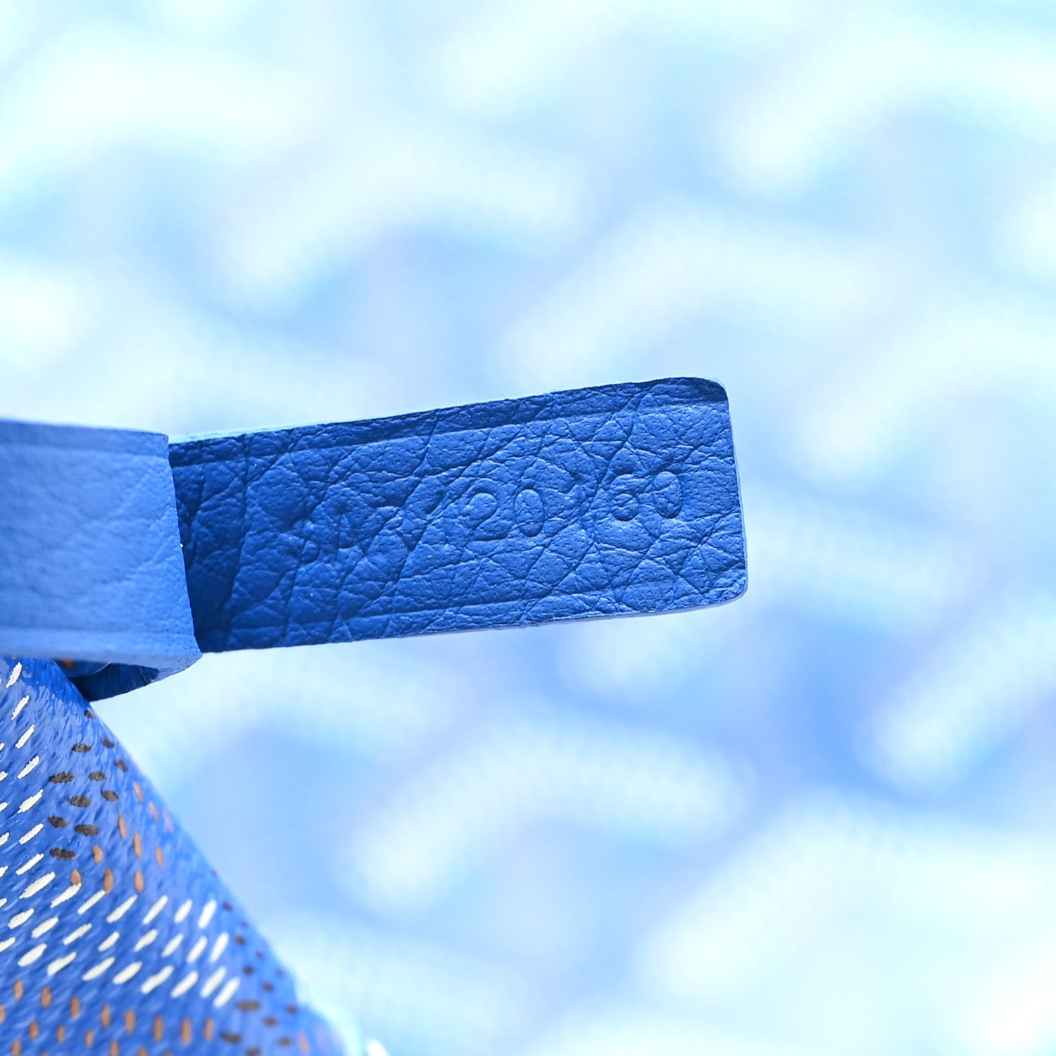 Goyard Goyardine Saint Louis PM Sky Blue 8 of 12