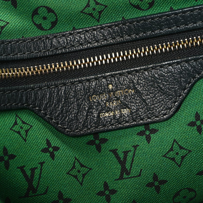 Louis Vuitton Canvas Printed Aventure Ailleurs Cabas PM 6 of 12