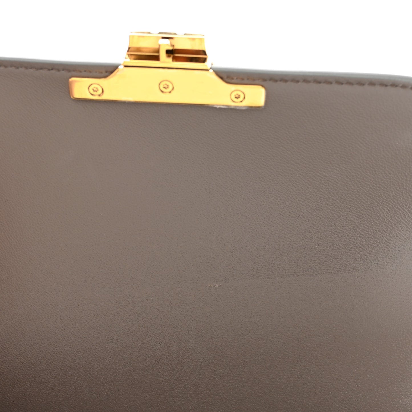 Shiny Calfskin Teen Triomphe Pebble