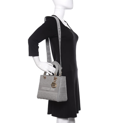 Christian Dior Canvas Embroidered Cannage Medium Lady D-Lite Gray 2 of 9
