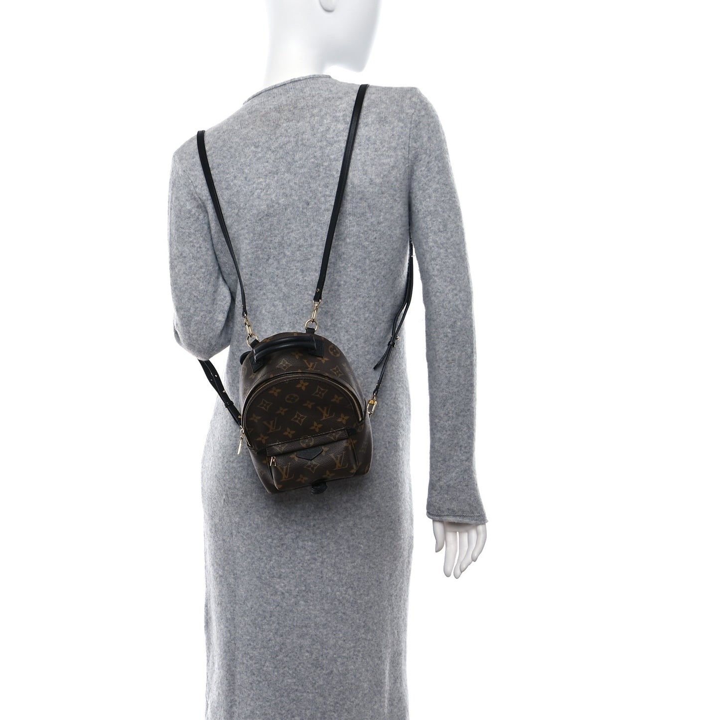 Monogram Palm Springs Backpack Mini