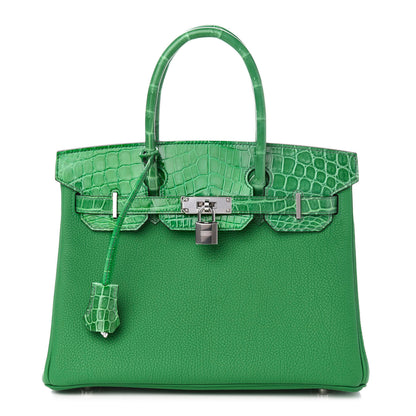 Hermes Togo Shiny Niloticus Crocodile Birkin Touch 30 Bamboo Cactus 1 of 34