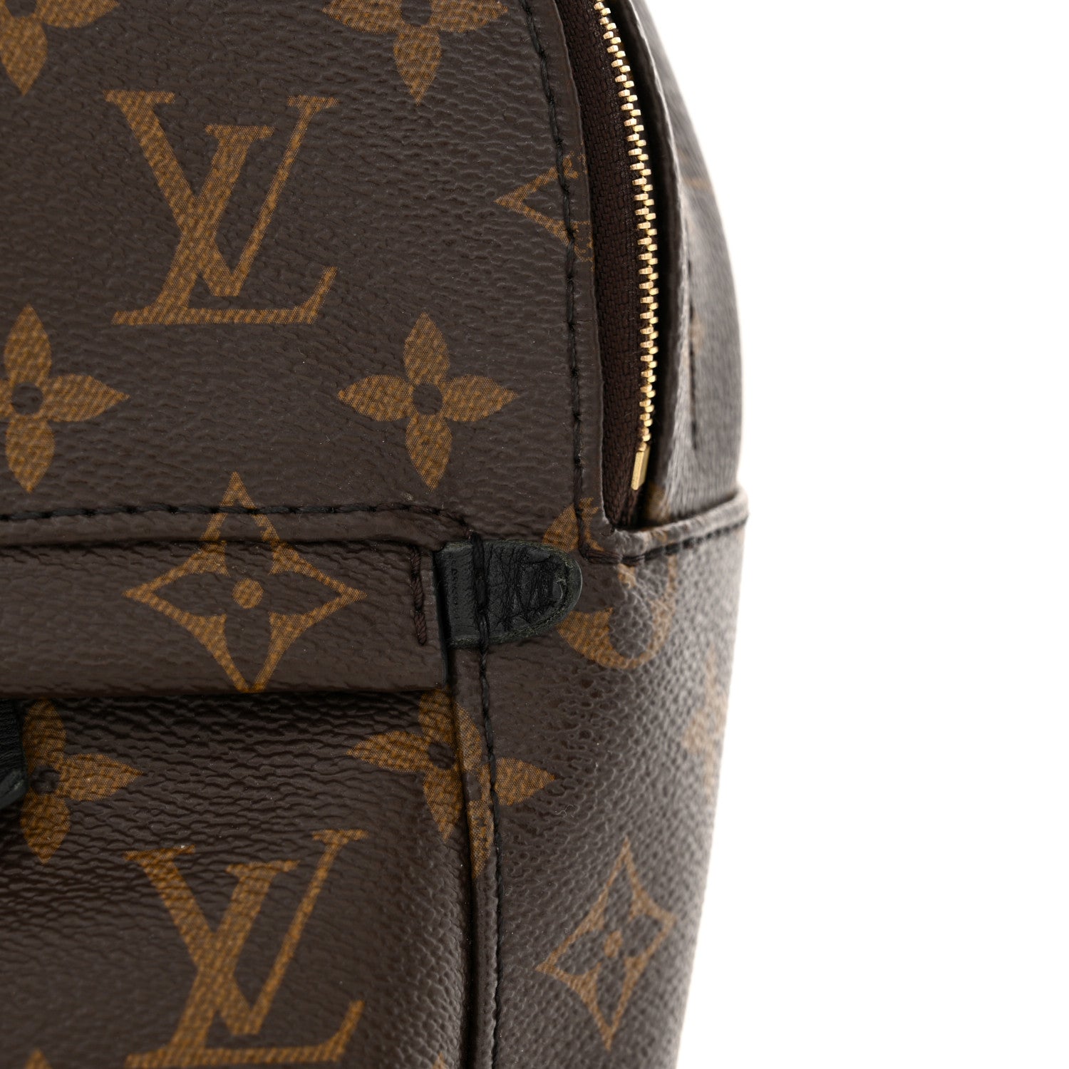 Louis Vuitton Monogram Palm Springs Backpack Mini 9 of 15