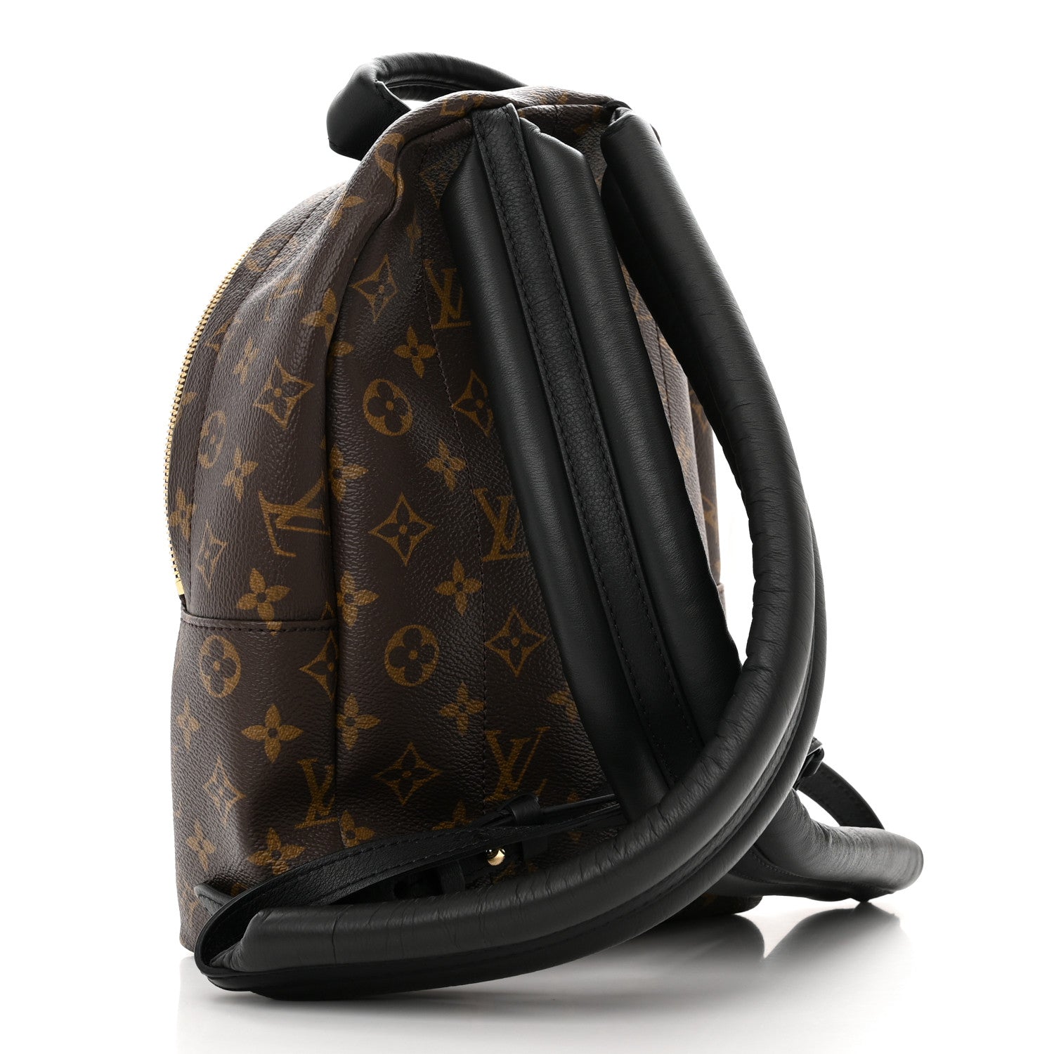 Louis Vuitton Monogram Palm Springs Backpack PM 3 of 13