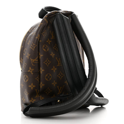 Louis Vuitton Monogram Palm Springs Backpack PM 3 of 13