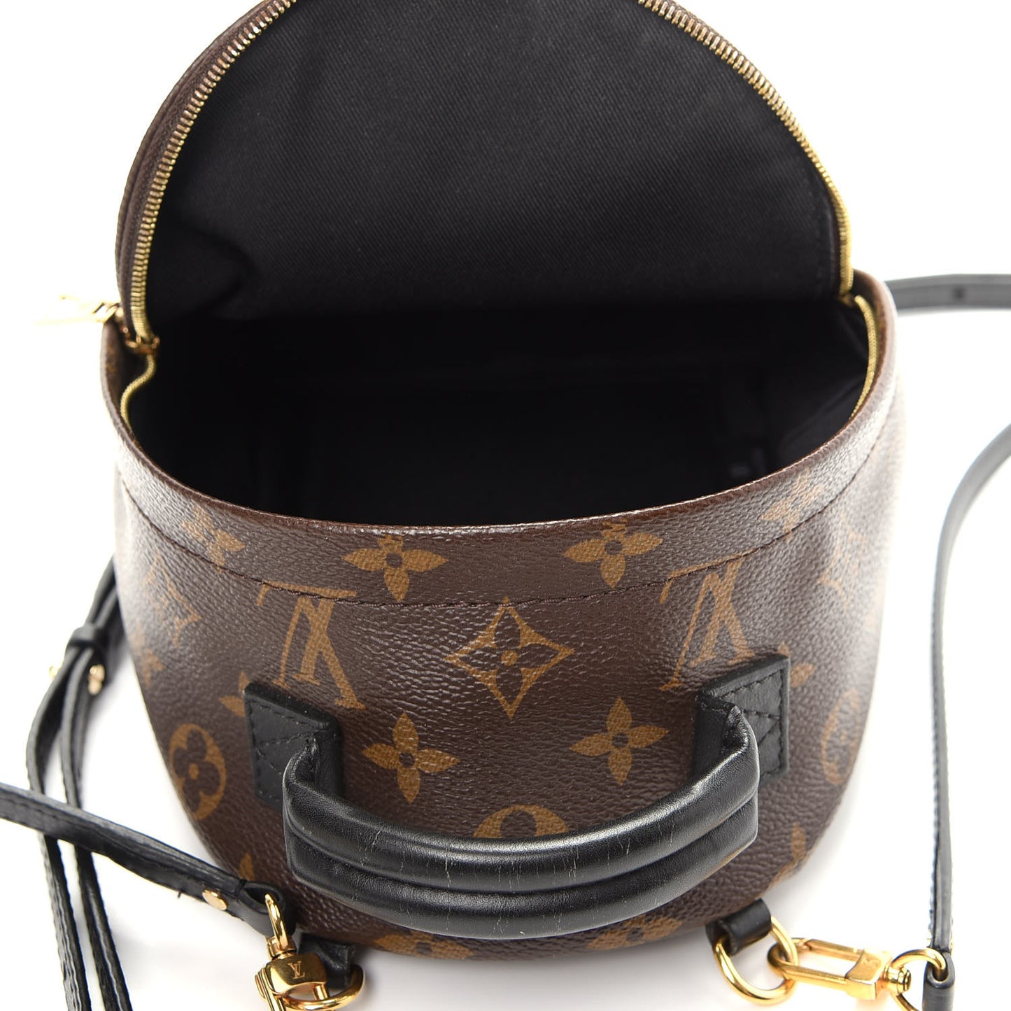 Monogram Palm Springs Backpack Mini