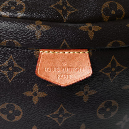Louis Vuitton Monogram Bumbag 8 of 14