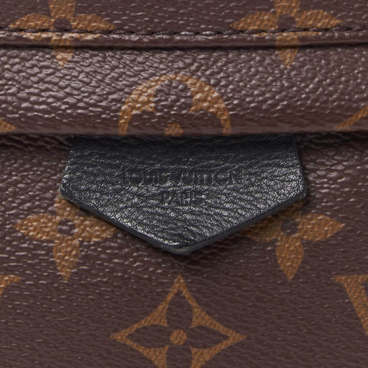 Monogram Palm Springs Backpack PM