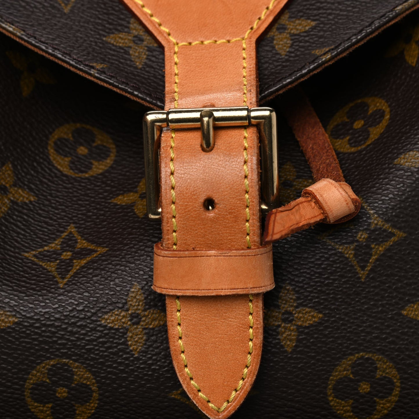 Monogram Montsouris GM Backpack