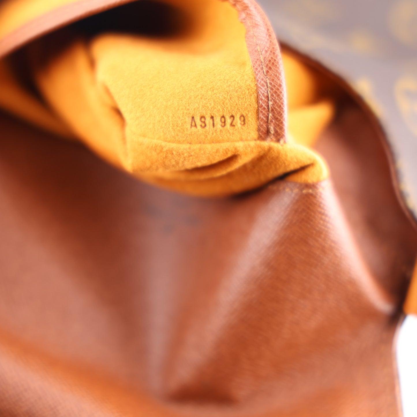 Monogram Musette Salsa