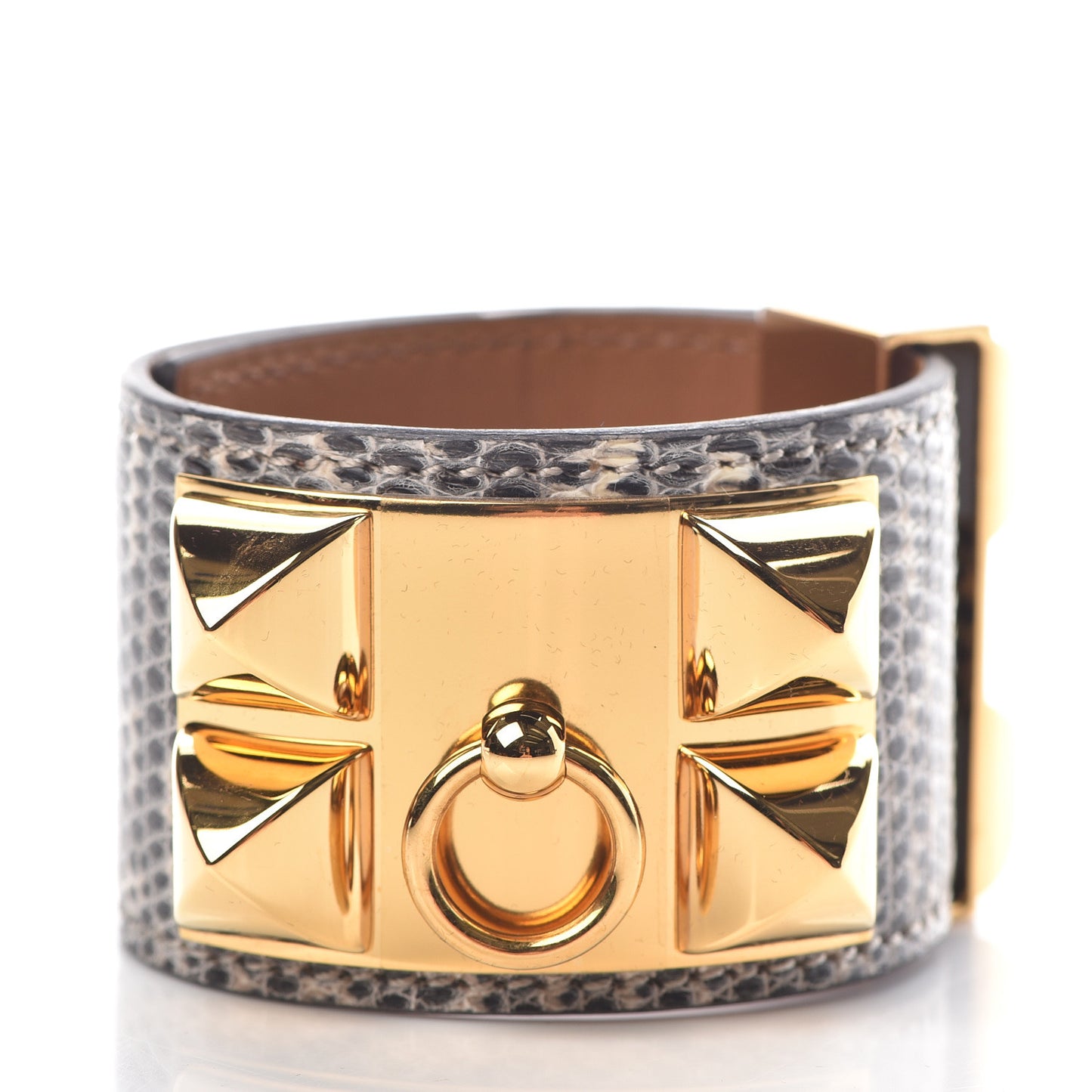 Lizard Collier De Chien CDC Bracelet T2 Ombre