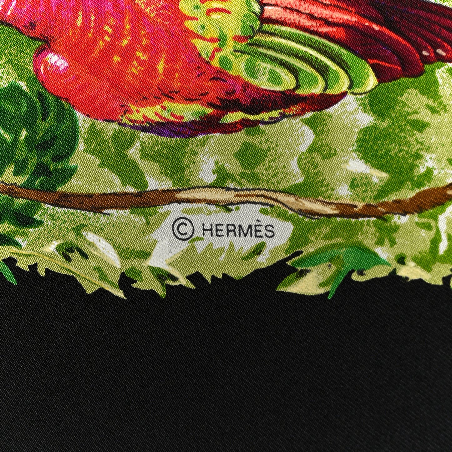 Silk Equateur Scarf 90 Black Vert Bleu