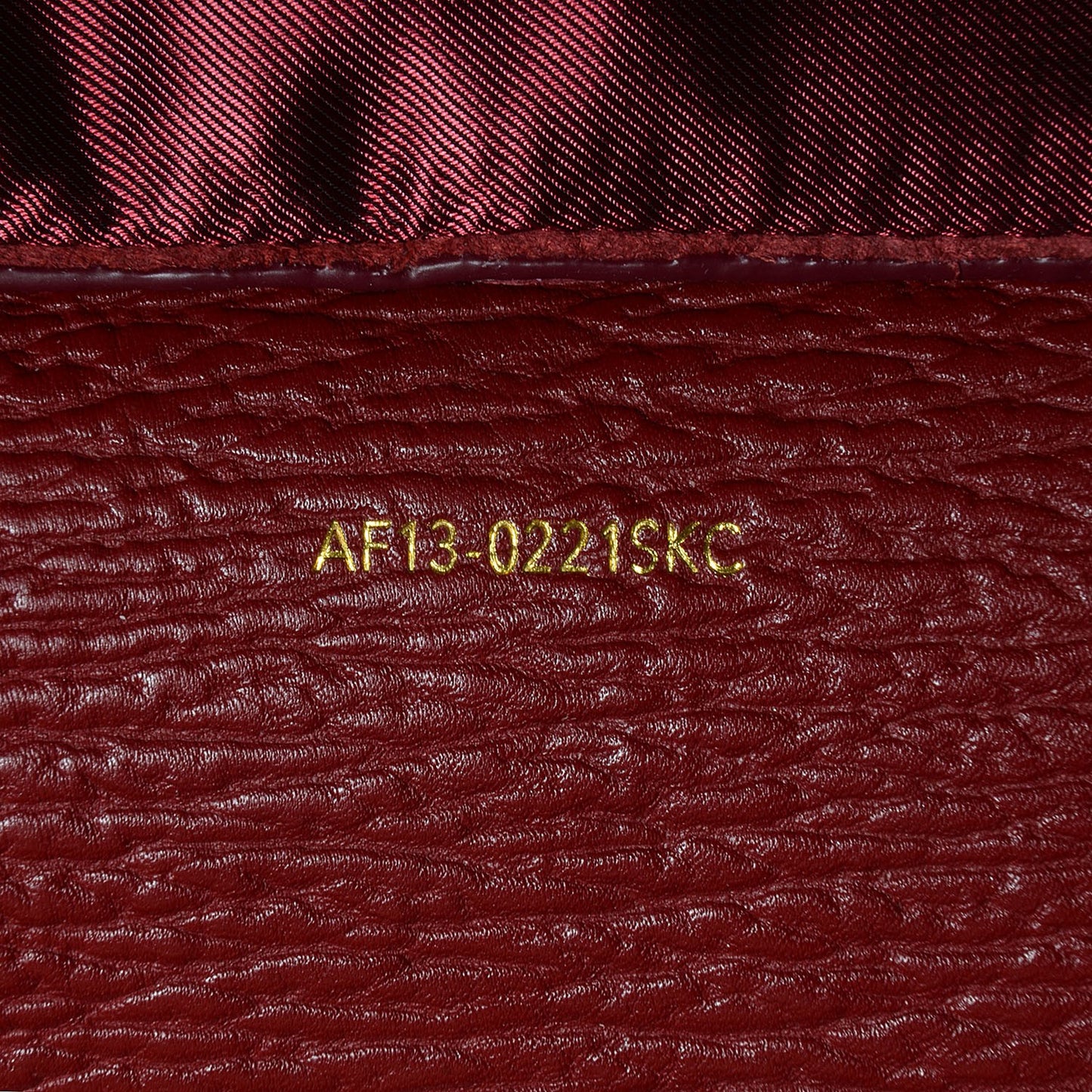 3.1 Leather Large Pashli Satchel Crimson