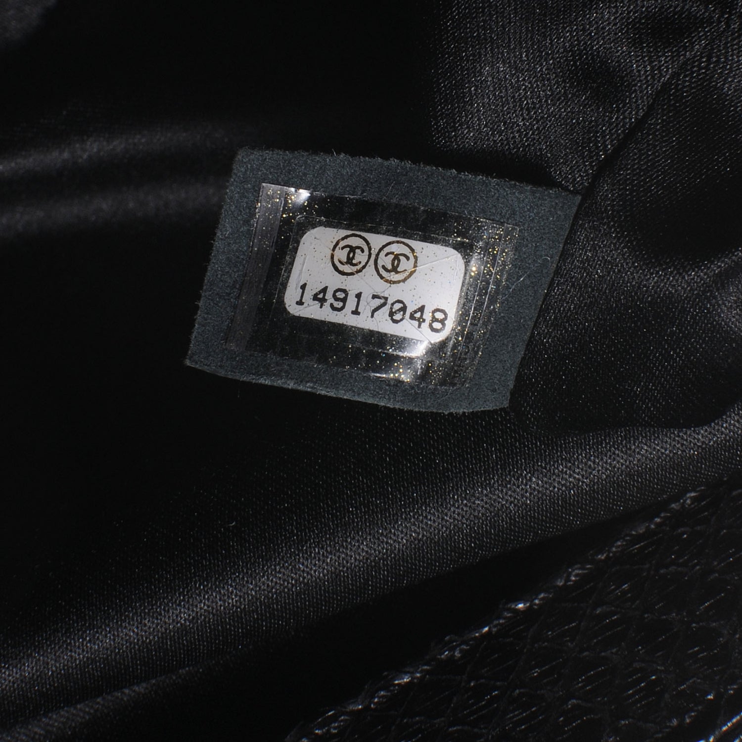 Chanel Python Stitch Flap Black 7 of 8
