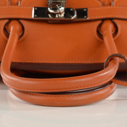 Hermes Taurillon Clemence Birkin 35 Potiron 9 of 21