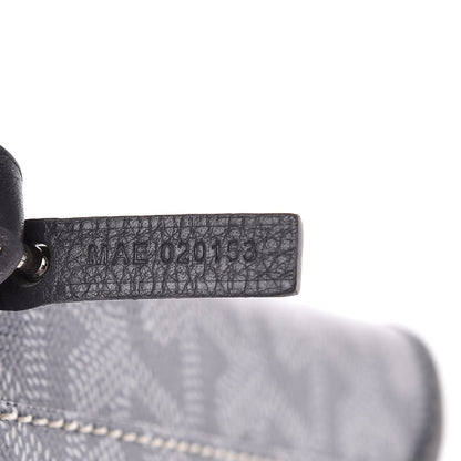 Goyard Goyardine Saint Louis PM Grey 8 of 9