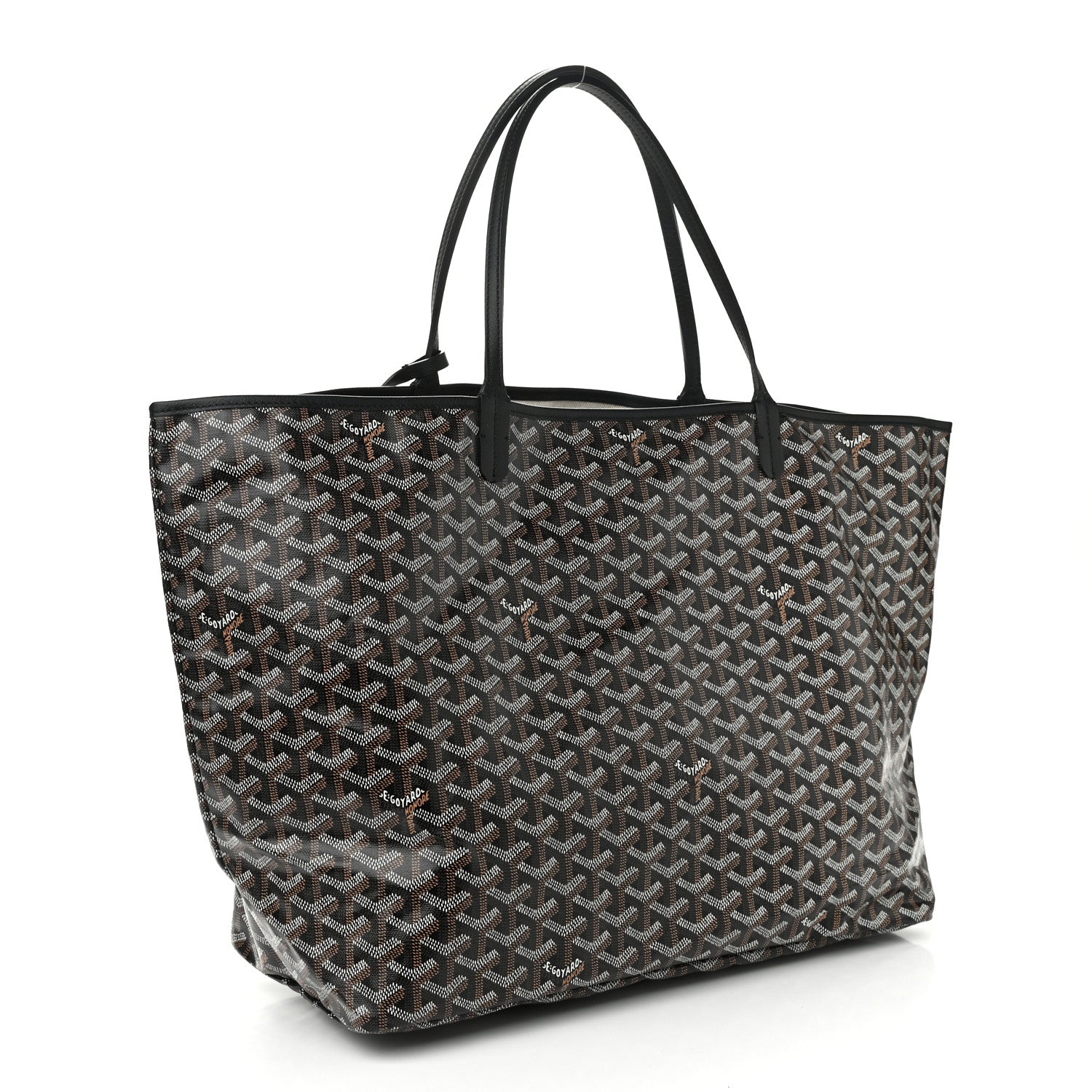 Goyard Goyardine Saint Louis PM Black 3 of 9