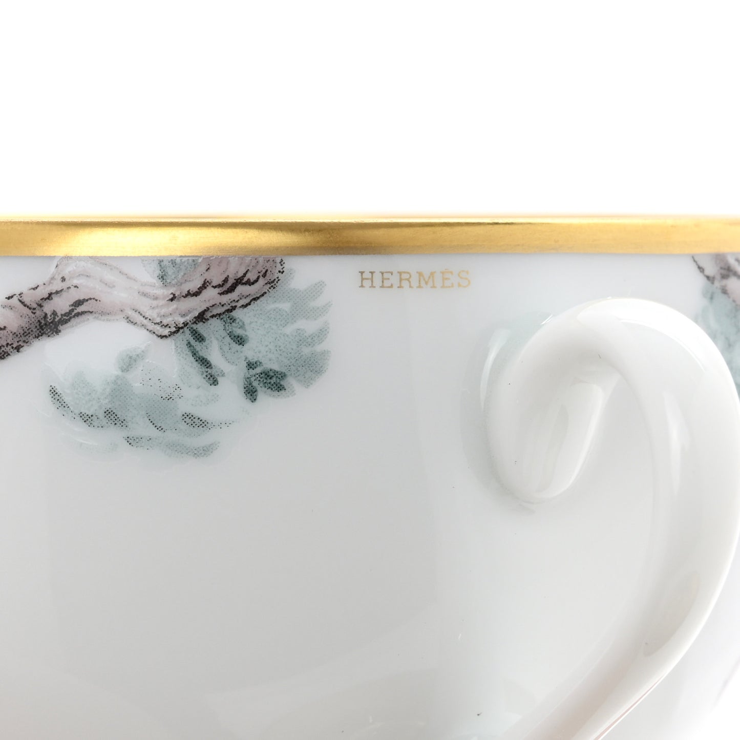 Porcelain Gold Carnets d'Equateur Tea Cup and Saucer