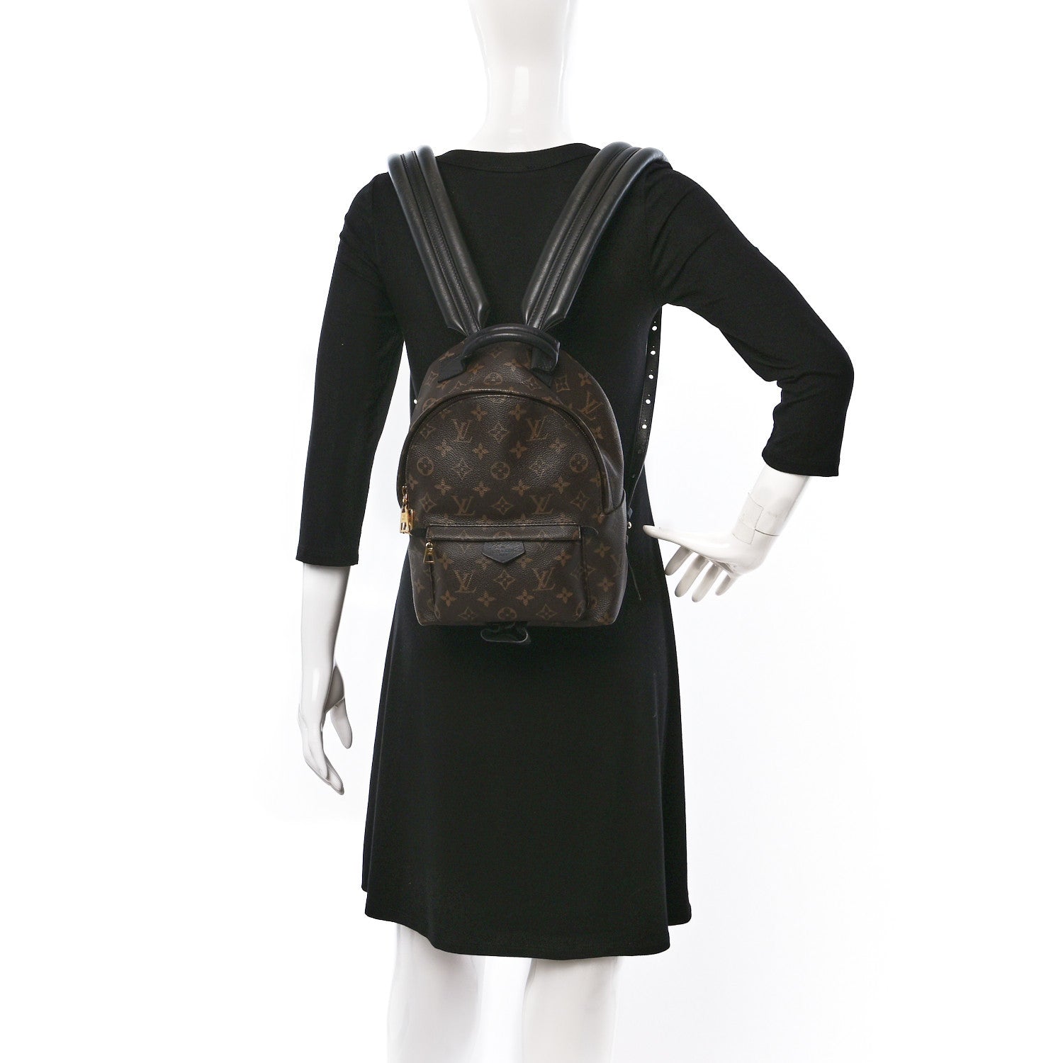 Louis Vuitton Monogram Palm Springs Backpack PM 2 of 14