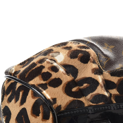 Louis Vuitton Monogram Leopard Stephen Bag 11 of 16
