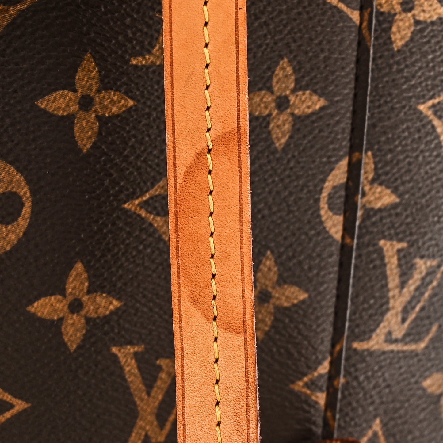 Monogram Montsouris NM Backpack