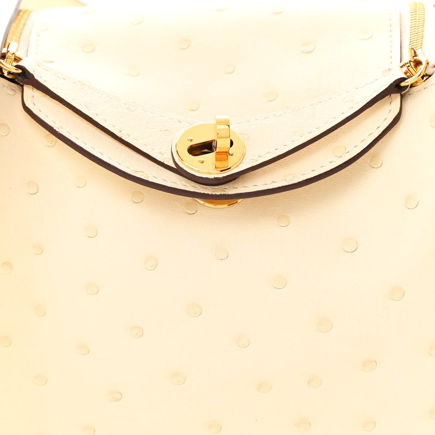 Ostrich Mini Lindy 20 Nata