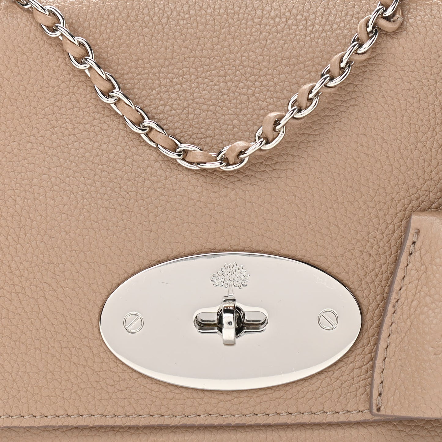 Small Classic Grain Calfskin Small Lily Flap Mushroom Grey