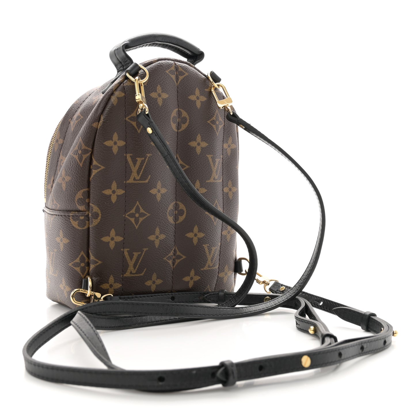 Monogram Palm Springs Backpack Mini