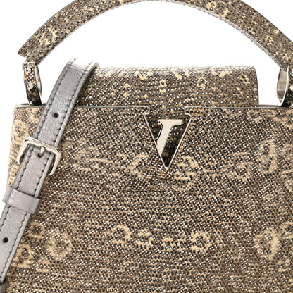 Louis Vuitton Lizard Mini Capucines Argento 8 of 10