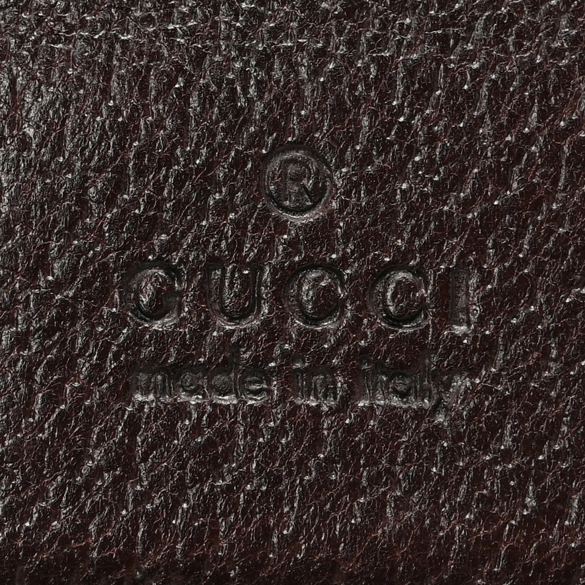 Monogram Web Belt Bag Dark Brown