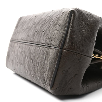 Fendi Ostrich Small Fendi First Dark Coffee 9 of 9