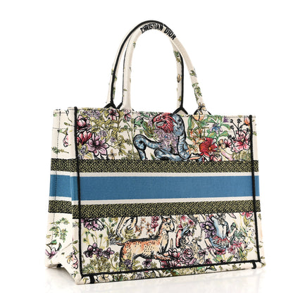 Christian Dior Canvas Embroidered Medium D-Constellation Book Tote Latte Multicolor 3 of 11