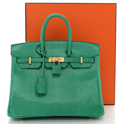 Hermes Lizard Birkin 25 Menthe 12 of 12