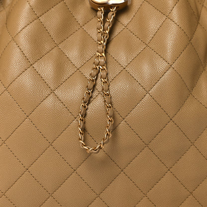 Chanel Caviar Quilted Medium Chanel 25 Handbag Dark Beige 9 of 11