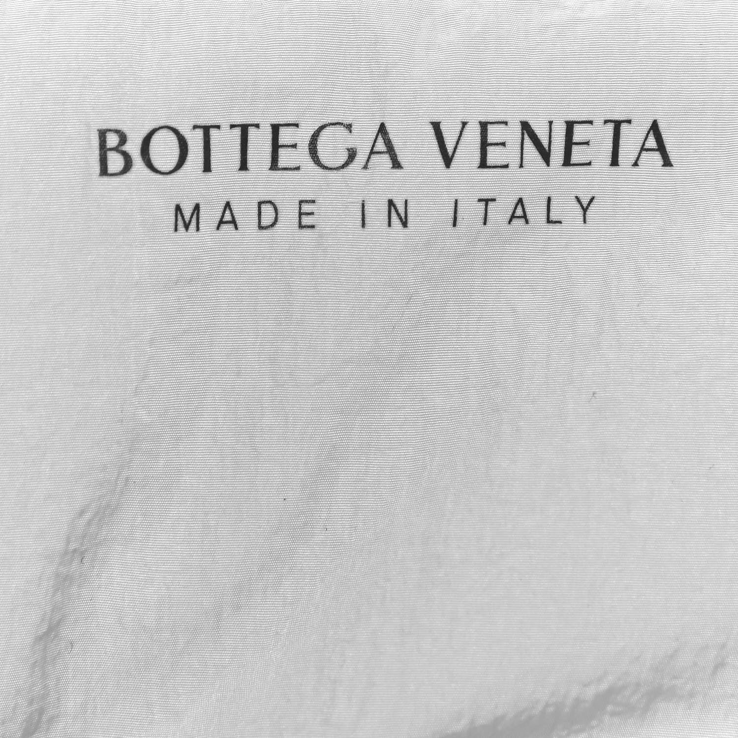 Bottega Veneta Nylon Intrecciato Padded Tech Cassette Bag Frost 7 of 12