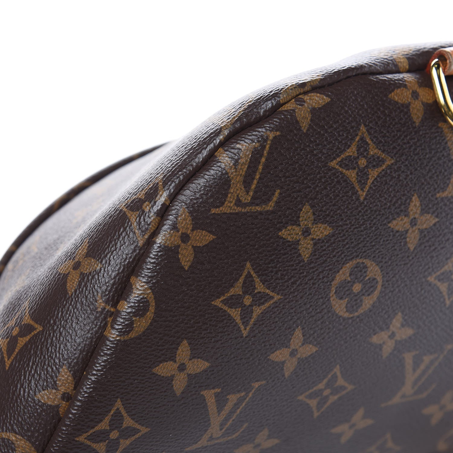Louis Vuitton Monogram Bumbag 7 of 12