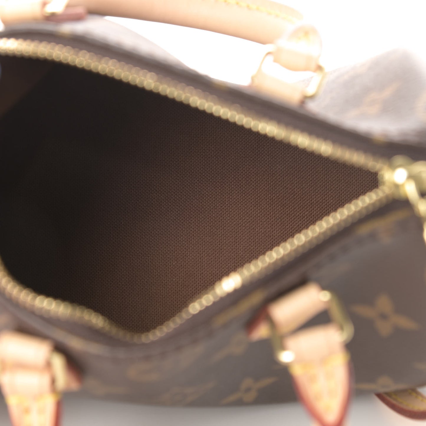 Monogram Nano Speedy