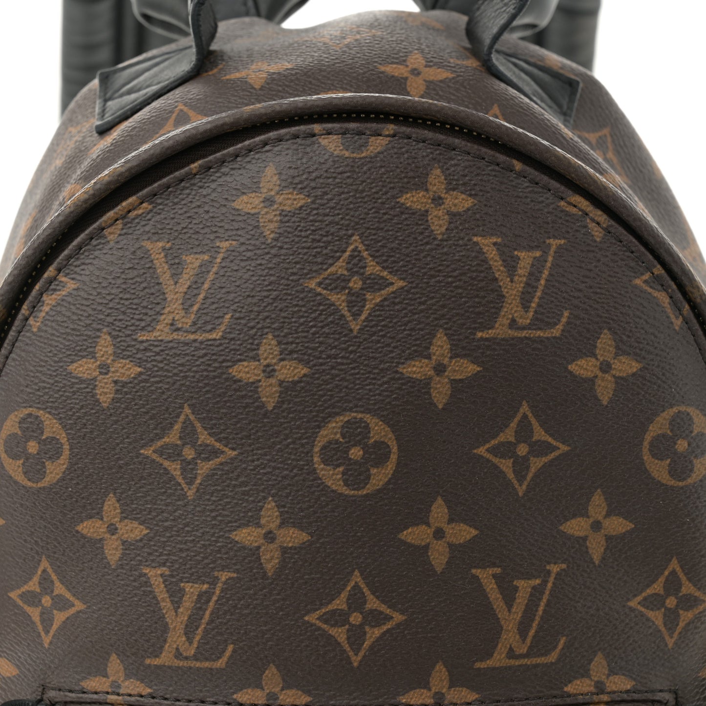 Monogram Palm Springs Backpack PM