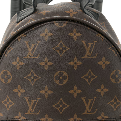 Louis Vuitton Monogram Palm Springs Backpack PM 8 of 13