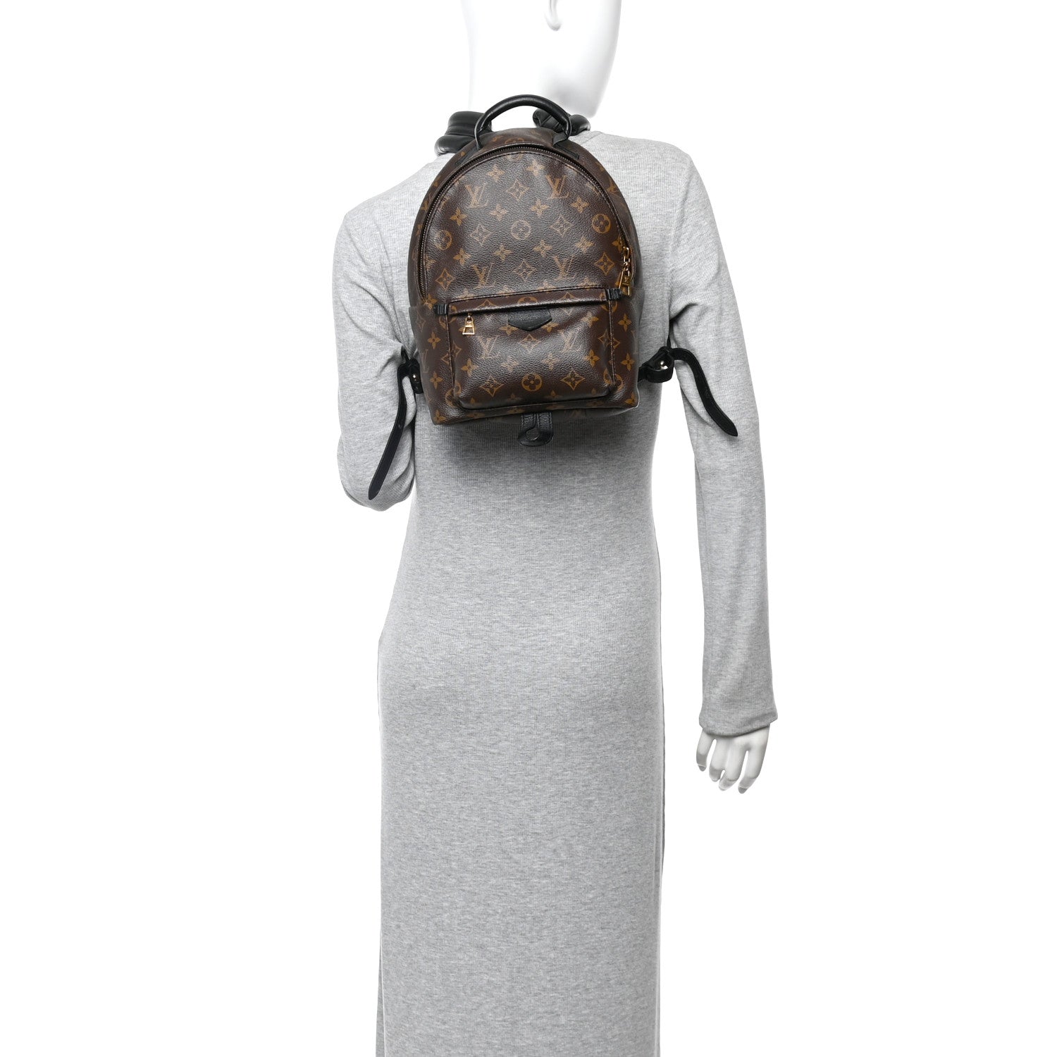 Louis Vuitton Monogram Palm Springs Backpack PM 2 of 12