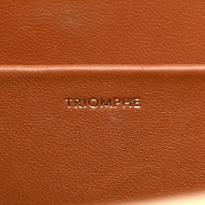 Celine Canvas Calfskin Triomphe Shoulder Bag White 7 of 10