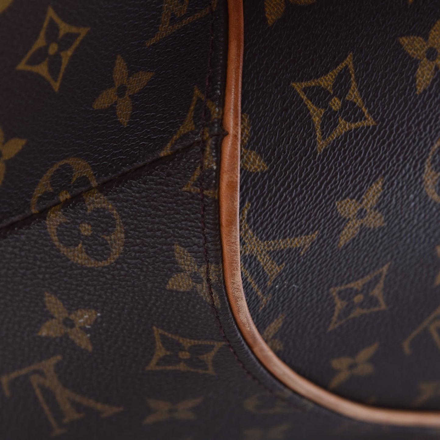 Monogram Ellipse GM Shopping Bag