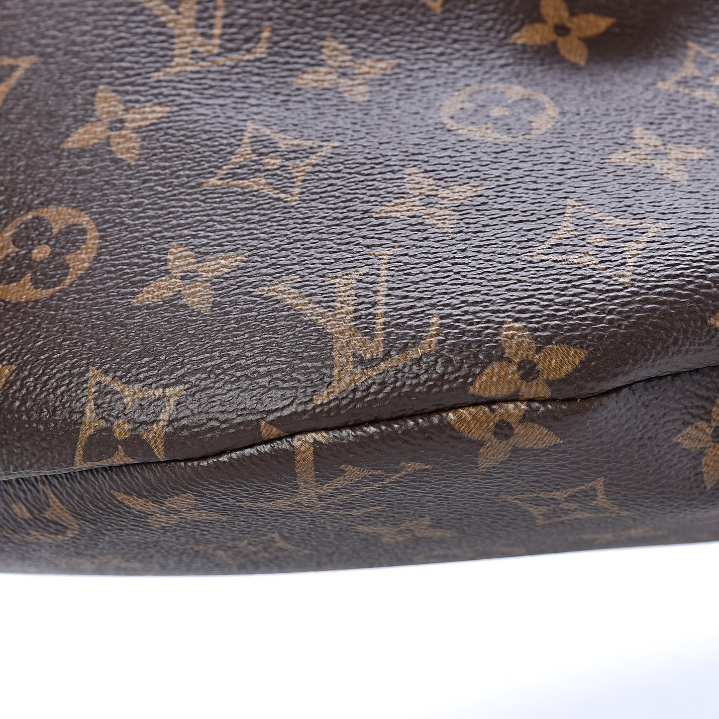 Monogram BumBag