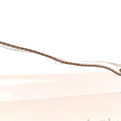 Hermes Vinyl Souvenir De L'Exposition Kelly Transparent 10 of 12
