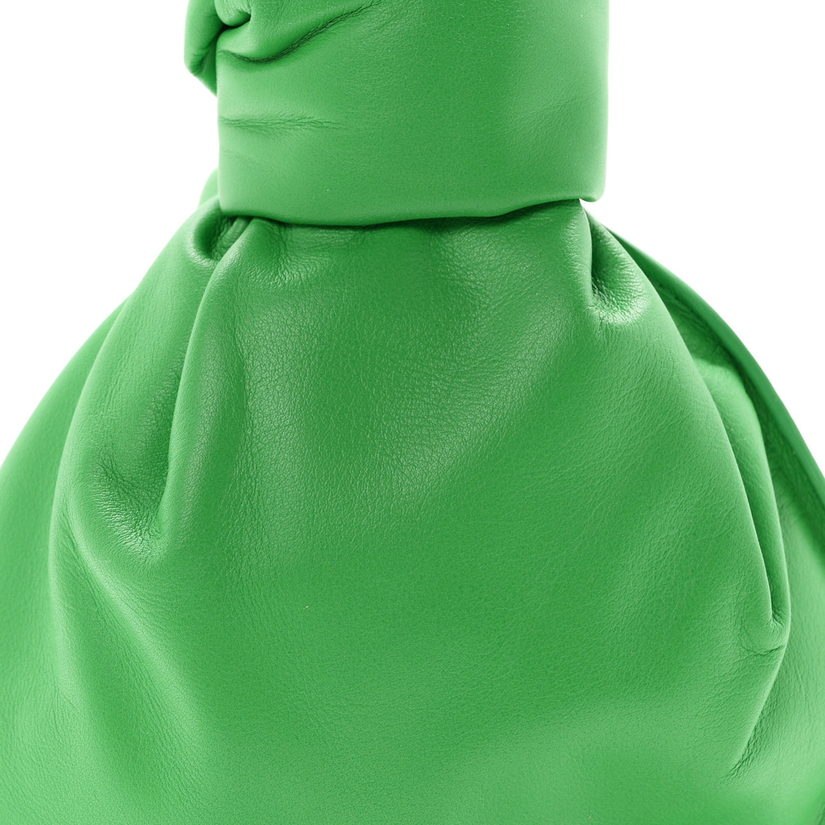 Calfskin Mini BV Twist Parakeet